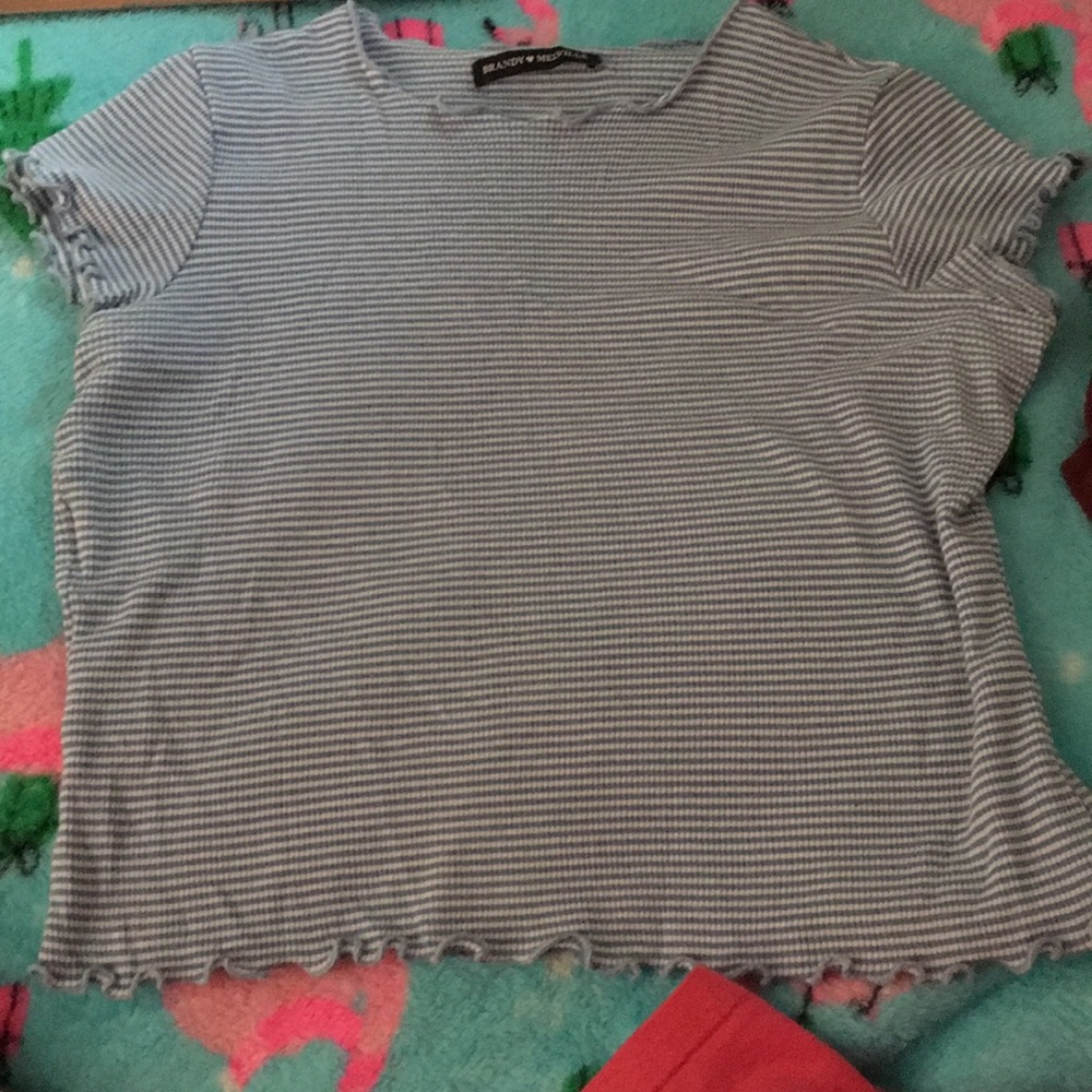 Brandy Melville Wynn Top (Vintage!)